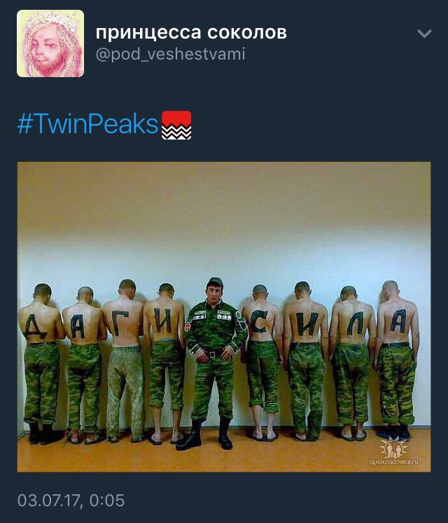 принцесса соколов