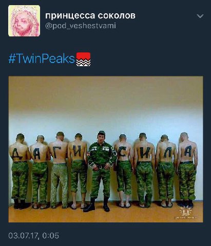 принцесса соколов