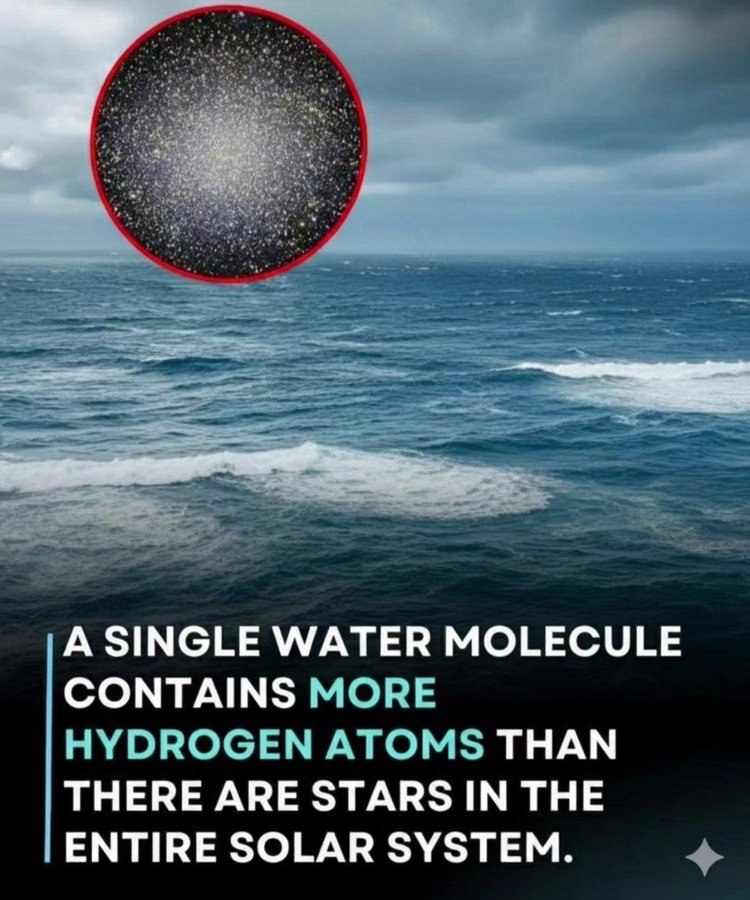 А SINGLE WATER MOLECULE CONTAINS MORE HYDROGEN ATOMS THAN ТНЕВЕ ARE STARS IN THE ENTIRE SOLAR SYSTEM.