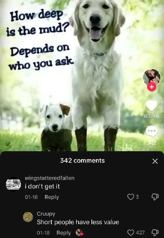How deep the mud? Depends on who you ask. 4 342 comments wingstatteredfallen i don't get it 01-18 Reply 82 Cruupy Short people have less value 01-18 Reply 427