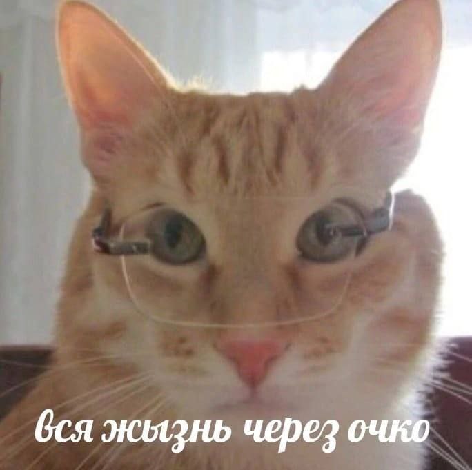 бся жызнь через очко