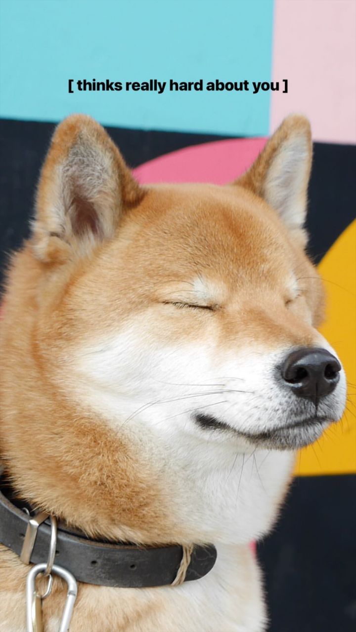 thinks really hard about you