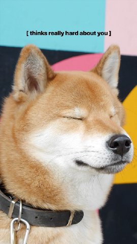 thinks really hard about you