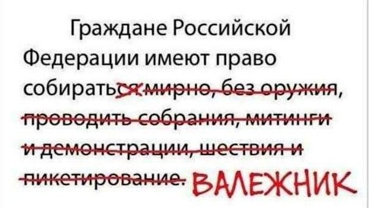 Граждане Российской Федерации имеют право шеетвия-и АЛЕЖНИК.