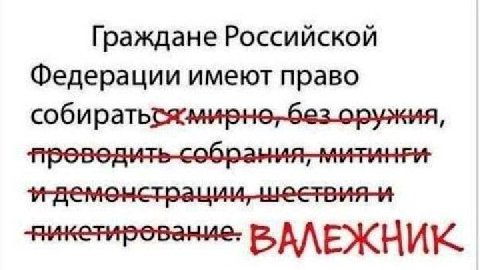 Граждане Российской Федерации имеют право шеетвия-и АЛЕЖНИК.