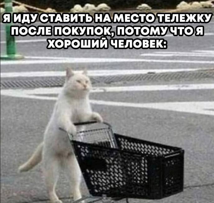 СТАВИТЬ НА МЕСТО ТЕЛЕЖКУ ПОСЛЕ ПОКУПОК, ПОТОМУЧТО.Я ХОРОШИИ ЧЕЛОВЕК