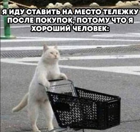 СТАВИТЬ НА МЕСТО ТЕЛЕЖКУ ПОСЛЕ ПОКУПОК, ПОТОМУЧТО.Я ХОРОШИИ ЧЕЛОВЕК