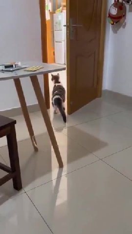 мем