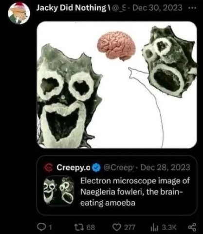 Jacky Did Nothing Pie Creepy.o Electron microscope image of Naegleria fowleri, the brain- eating amoeba