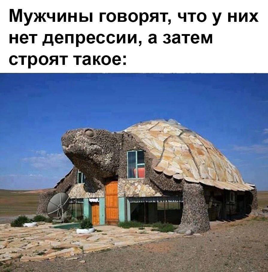 Мужчины говорят, что у них нет депрессии, а затем строят такое: