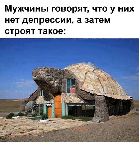 Мужчины говорят, что у них нет депрессии, а затем строят такое: