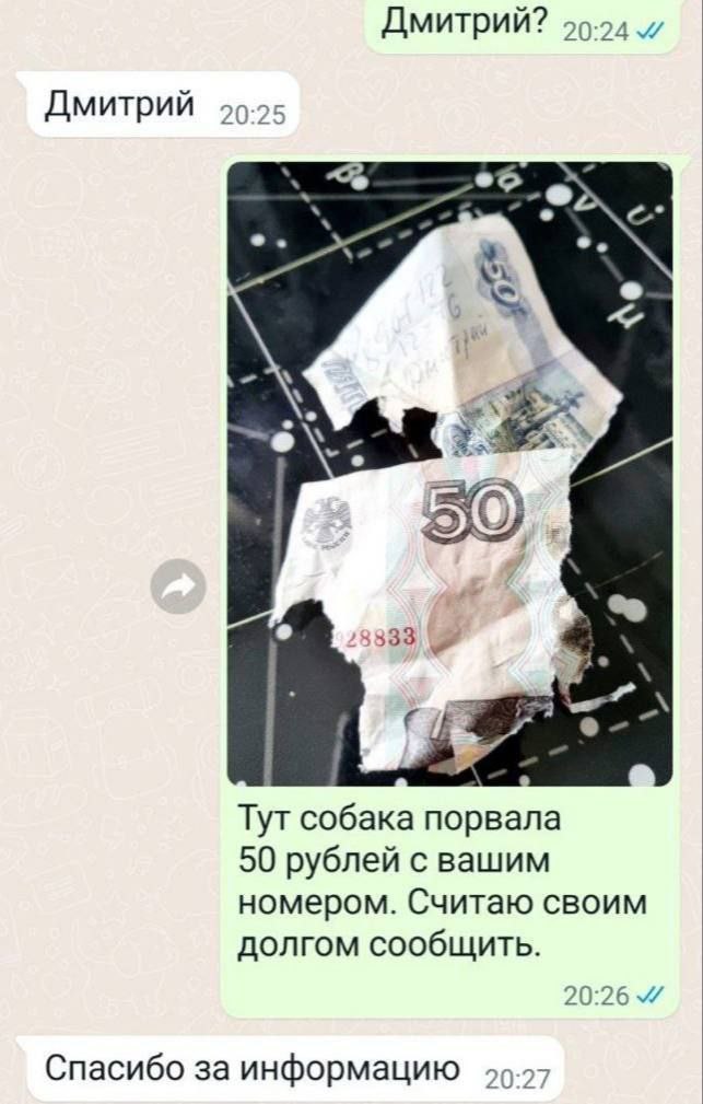 Дмитрий? 99:04 Дмитрий 25 3333 2 Тут собака порвала 50 рублей с вашим номером. Считаю своим долгом сообщить. 20:26 Спасибо за информацию 99-97