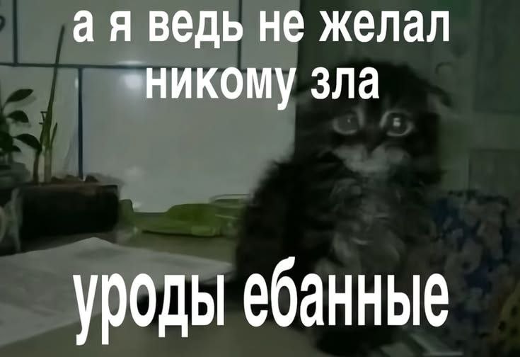 ведь не желал никому зла уроды ебанные