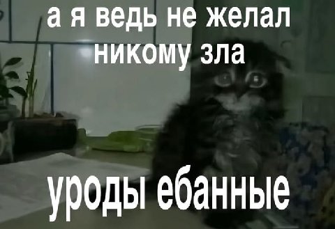 ведь не желал никому зла уроды ебанные