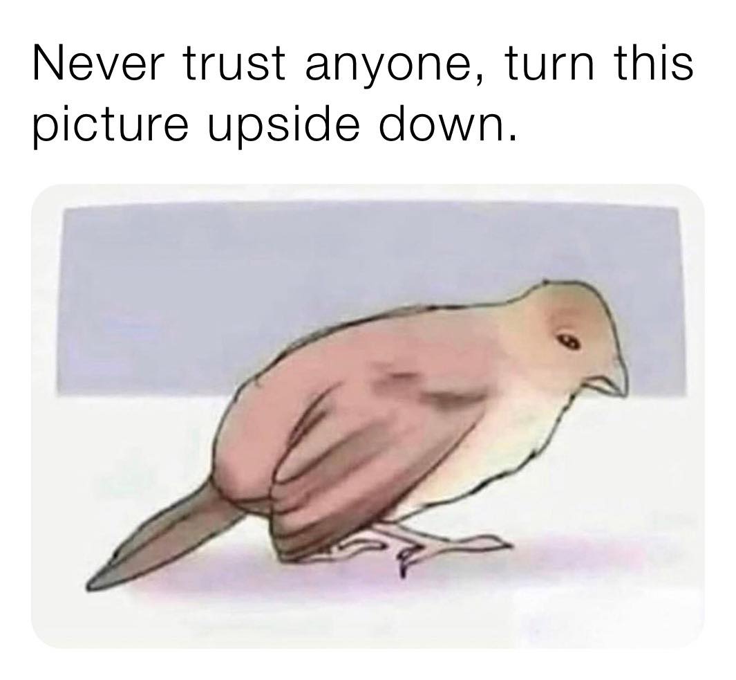 Never trust anyone, turn this picture upside down.