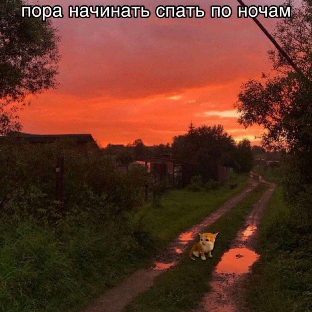пора начинать спать по ночам