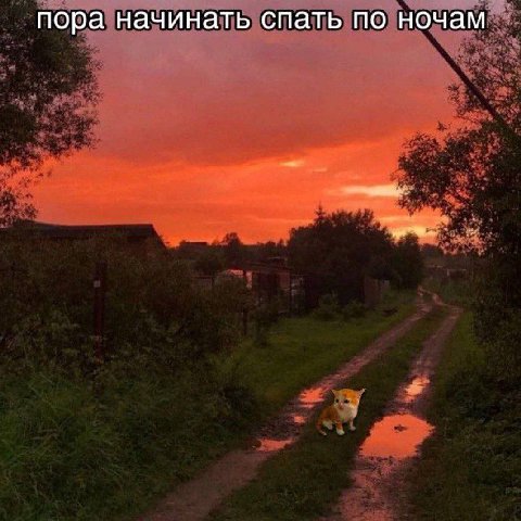 пора начинать спать по ночам
