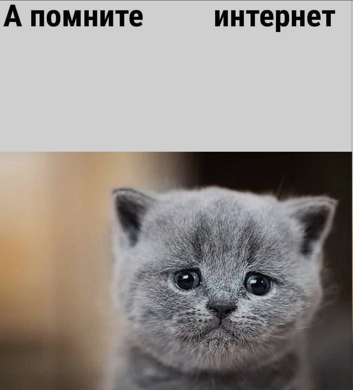 А помните интернет he 5