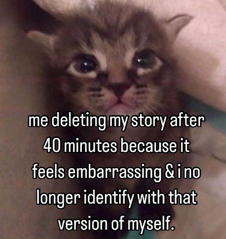me deleting my story after 40 minutes because it feels embarrassing ino longer identify with that version of myself.