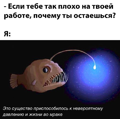 Если тебе так плохо на твоей работе, почему ты остаешься? Я: Это существо приспособилось к невероятному давлению и жизни во мраке