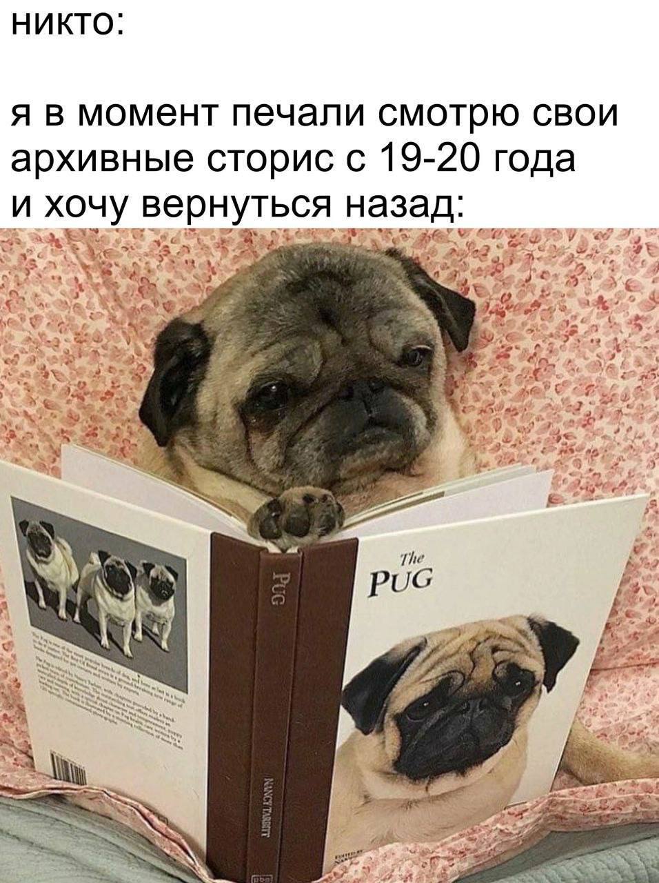 НИКТО: я в момент печали смотрю свои архивные сторис с 19-20 года и хочу вернуться назад: a i Я The РОС A SSS 7