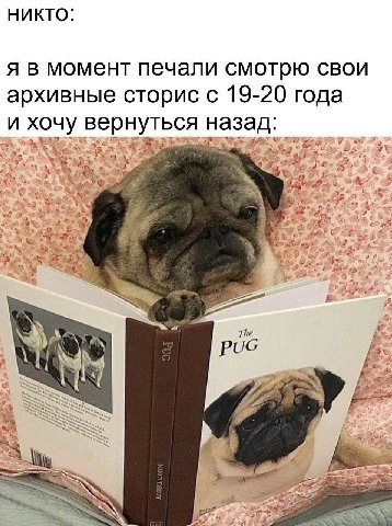 НИКТО: я в момент печали смотрю свои архивные сторис с 19-20 года и хочу вернуться назад: a i Я The РОС A SSS 7