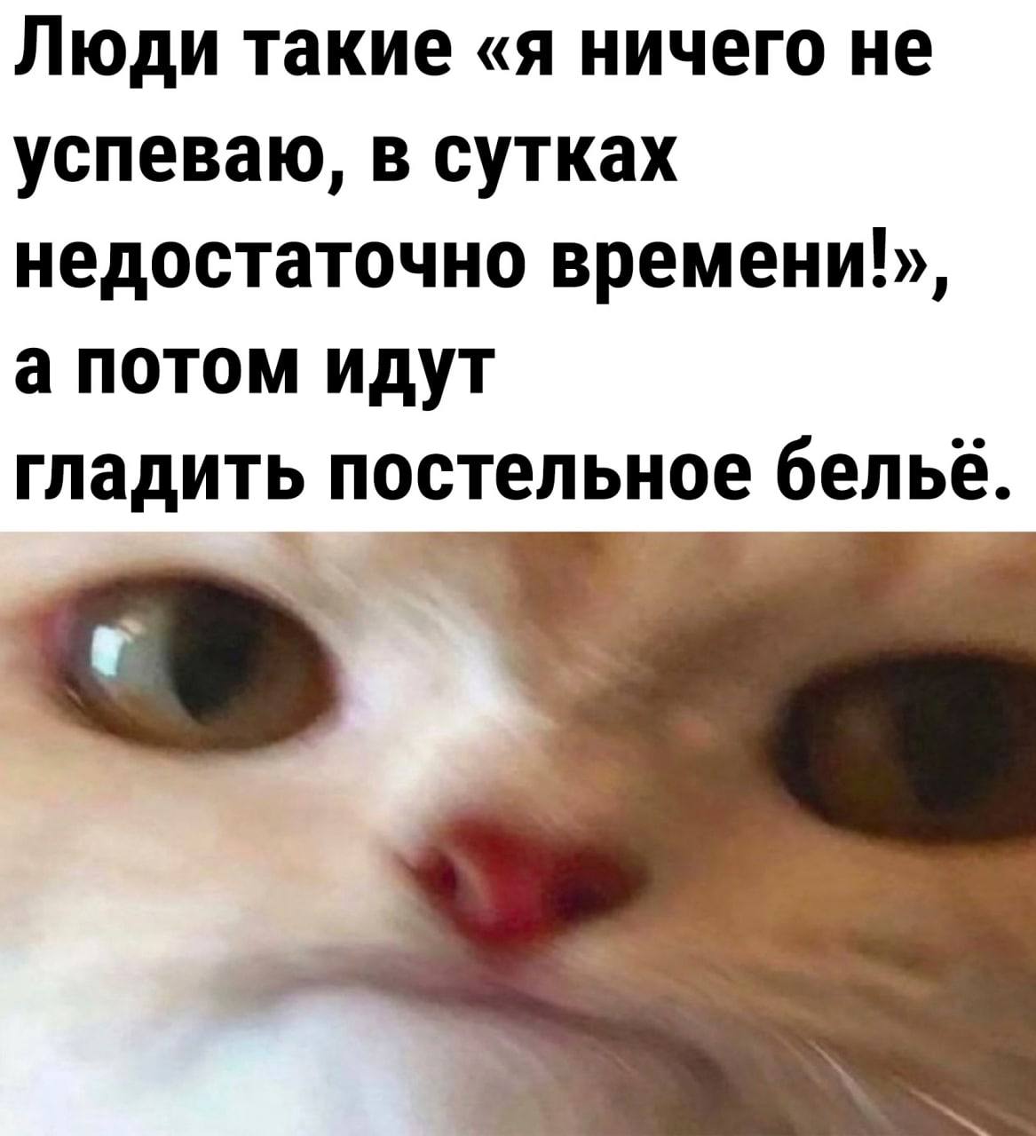 Люди такие «я ничего не успеваю, в сутках недостаточно времени!», а потом идут гладить постельное бельё.