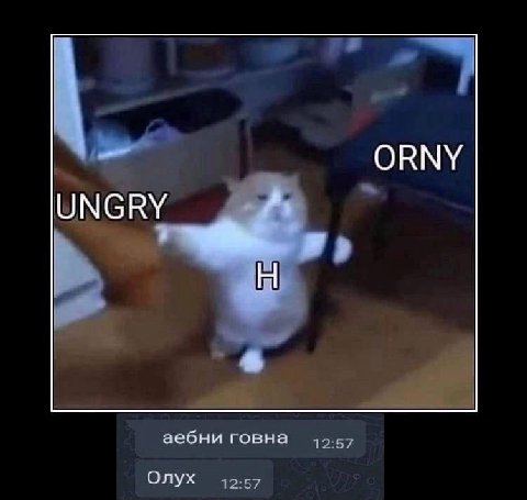 ORNY UNGRY аебни говна Onyx