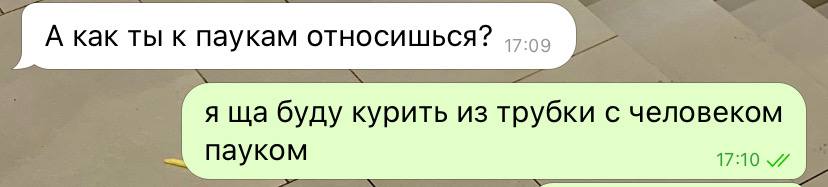 А как ты к паукам относишься? 45.55 я буду курить из трубки с человеком Пауком 17:10