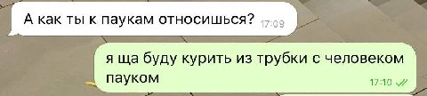 А как ты к паукам относишься? 45.55 я буду курить из трубки с человеком Пауком 17:10