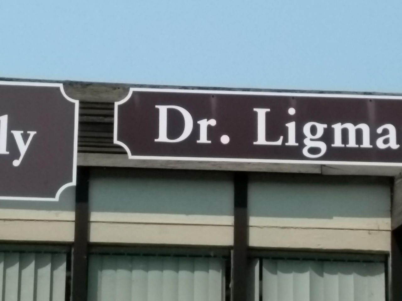 ale Ligma