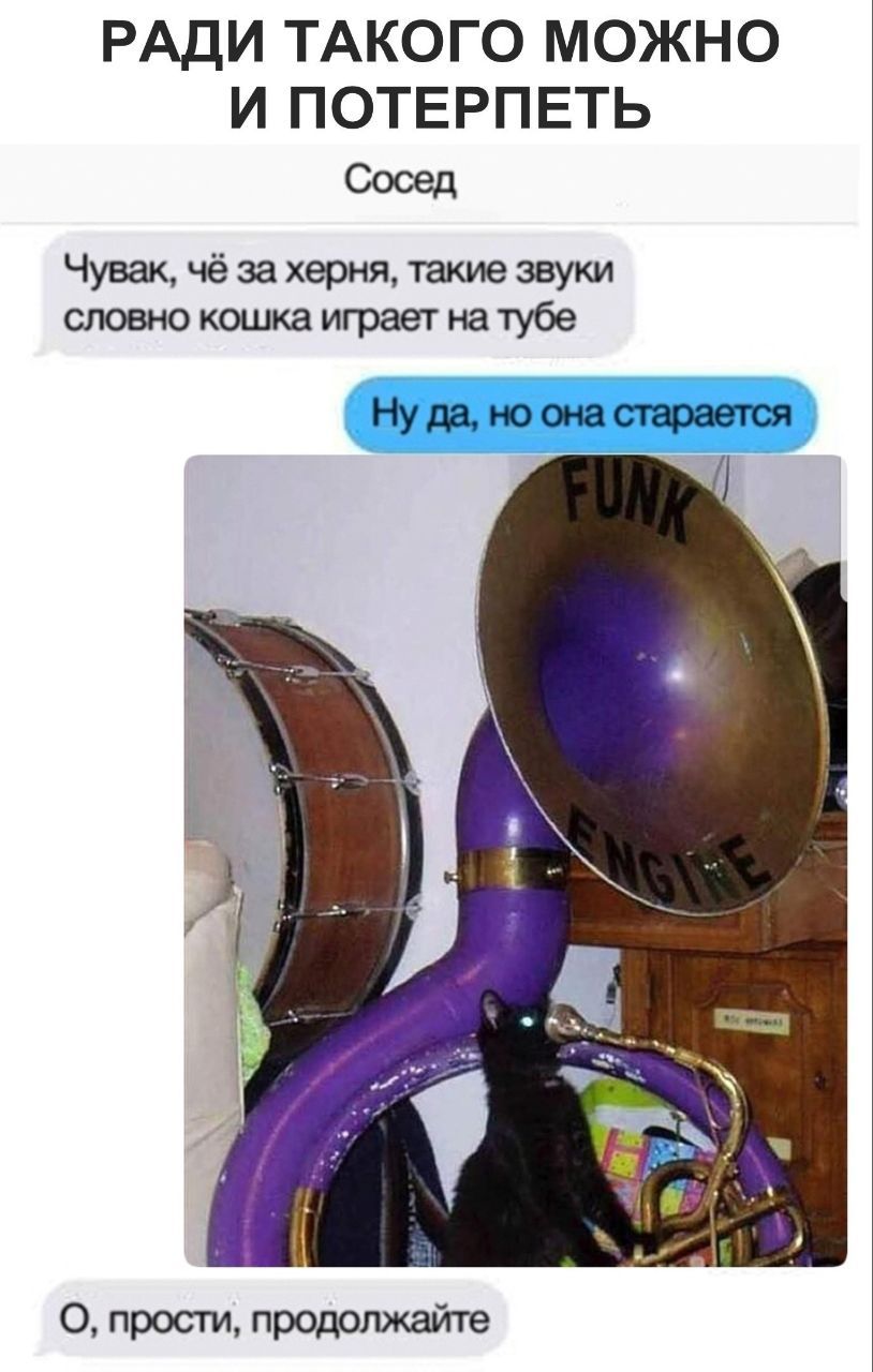 РАДИ ТАКОГО МОЖНО И ПОТЕРПЕТЬ Сосед Чувак, чё за херня, такие звуки словно кошка играет на тубе Ну да, но она старается О, прости, продолжайте