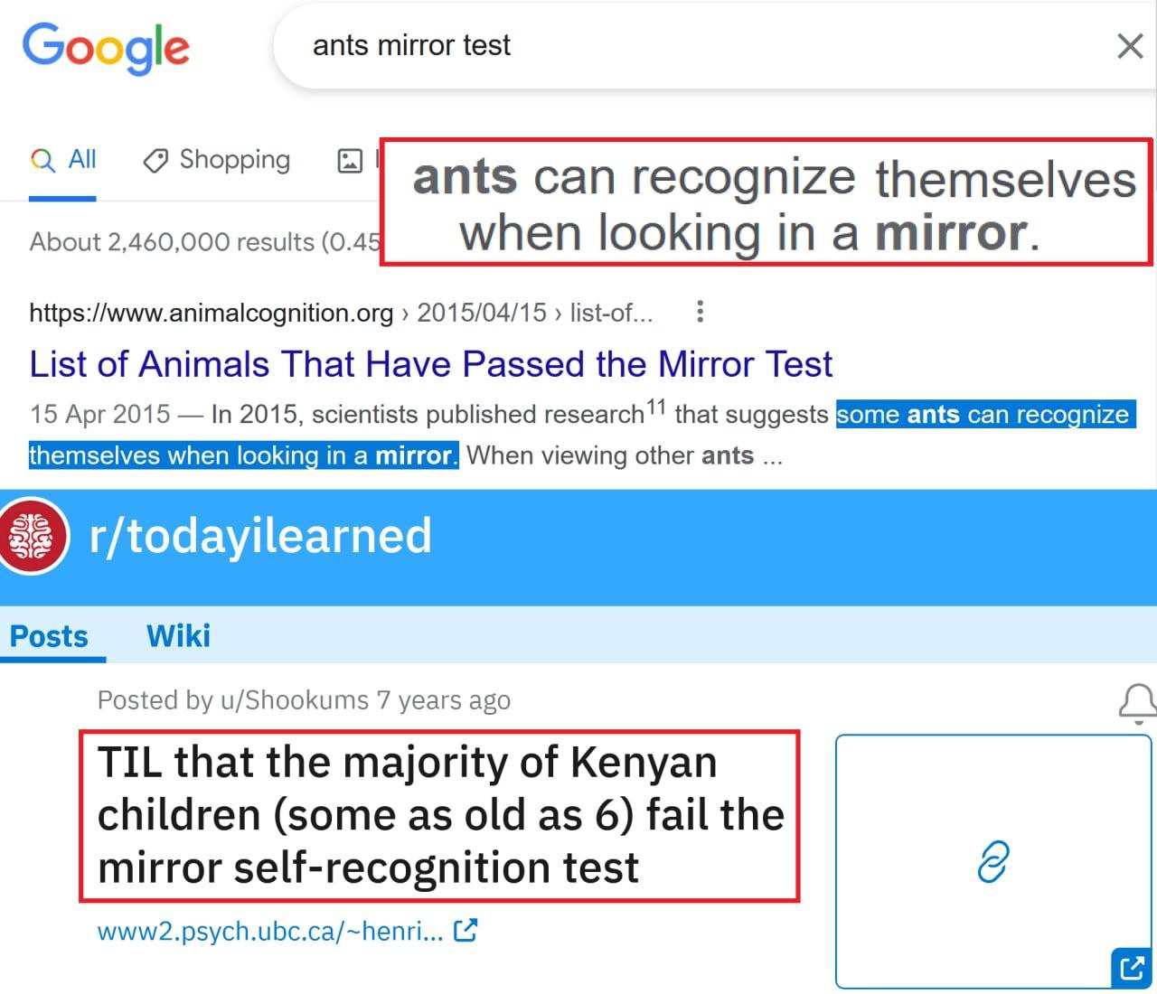 Gox ogle ants mirror test All Shopping About 2,460,000 results (0.4 https://www.animalcognition.org 2015/04/15 list-of. List of Animals That Have Passed the Mirror Test 15 Apr 2015 In 2015, scientists