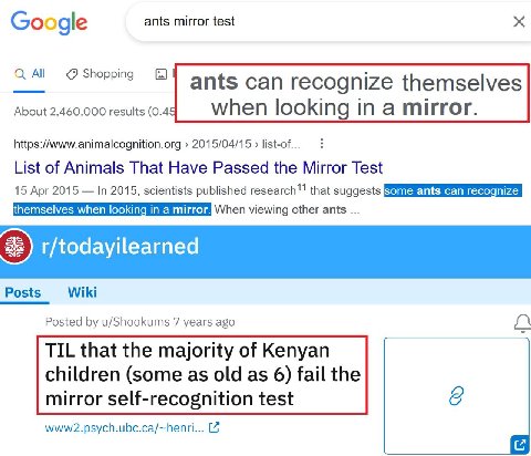 Gox ogle ants mirror test All Shopping About 2,460,000 results (0.4 https://www.animalcognition.org 2015/04/15 list-of. List of Animals That Have Passed the Mirror Test 15 Apr 2015 In 2015, scientists