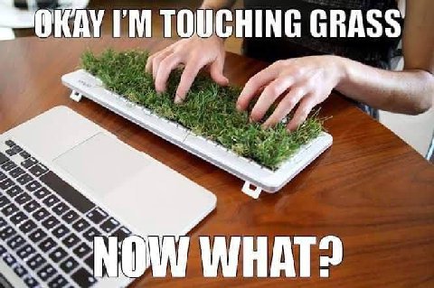 TOUCHING GRASS WHAT