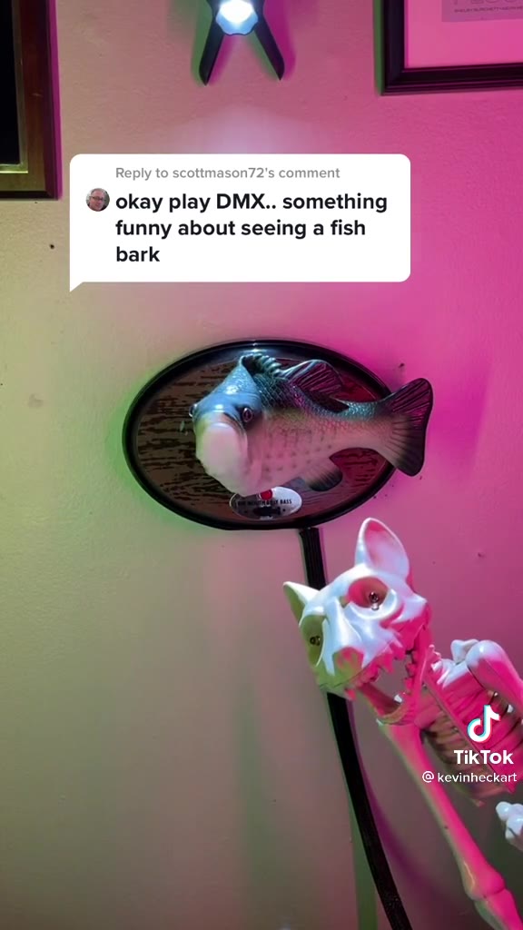 | Reply to scottmason72's comment funny about seeing a fish