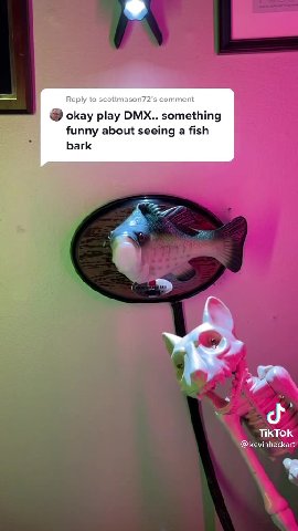 | Reply to scottmason72's comment funny about seeing a fish