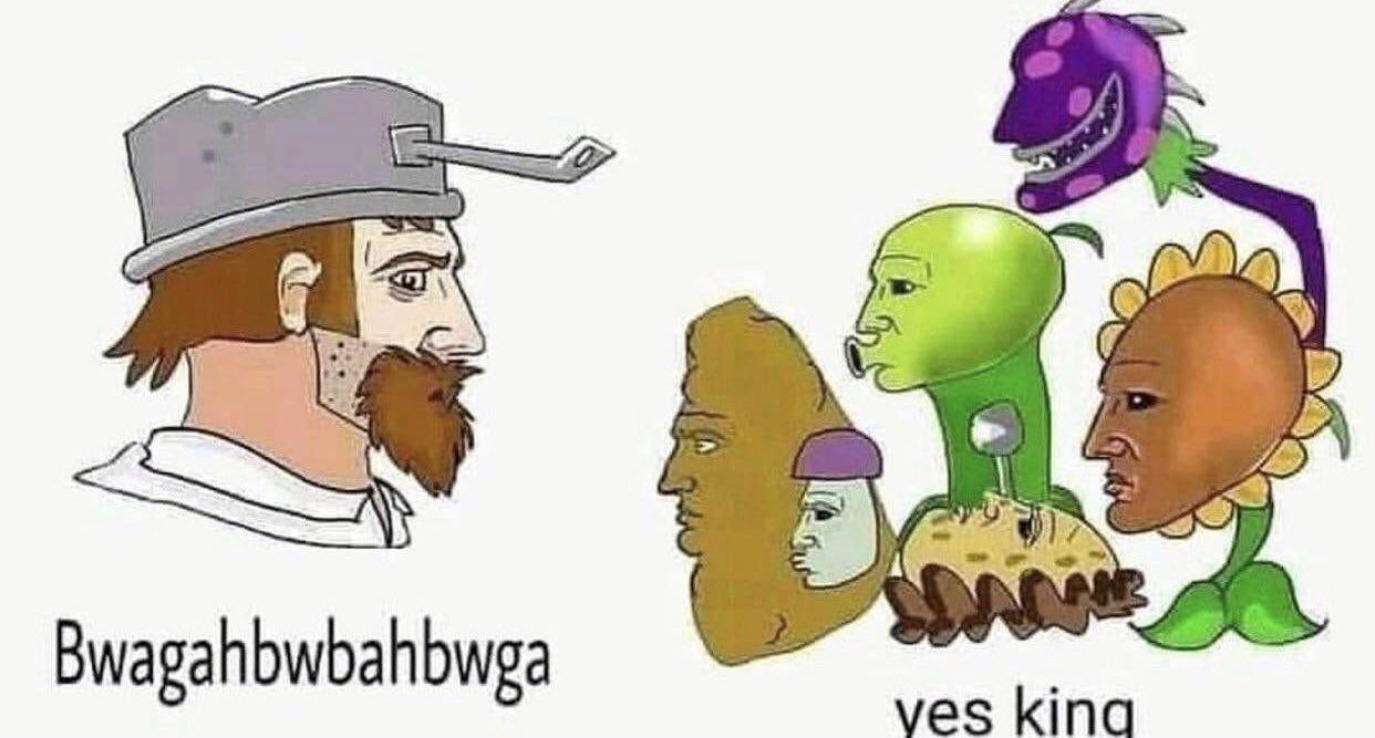 Bwagahbwbahbwea ves kina