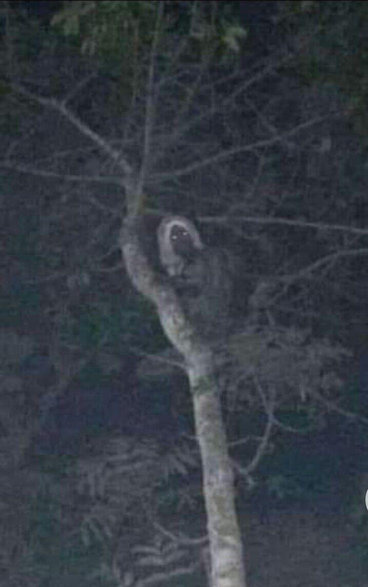 спать