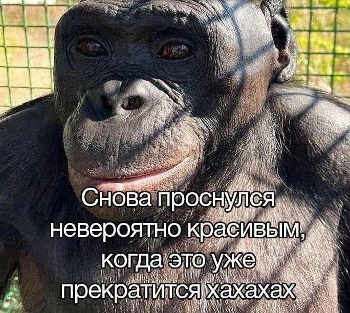the. A Снова просну aN невероятно краси когда: это уже A прекратится!