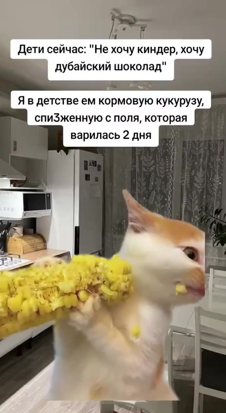 Дети сейчас: "Не хочу киндер, хочу дубайский шоколад" Я в детстве ем кормовую кукурузу, спиЗженную с поля, которая варилась 2 дня
