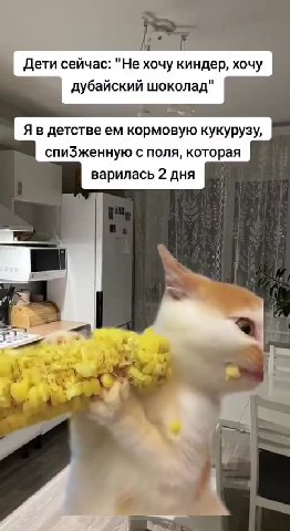 Дети сейчас: "Не хочу киндер, хочу дубайский шоколад" Я в детстве ем кормовую кукурузу, спиЗженную с поля, которая варилась 2 дня