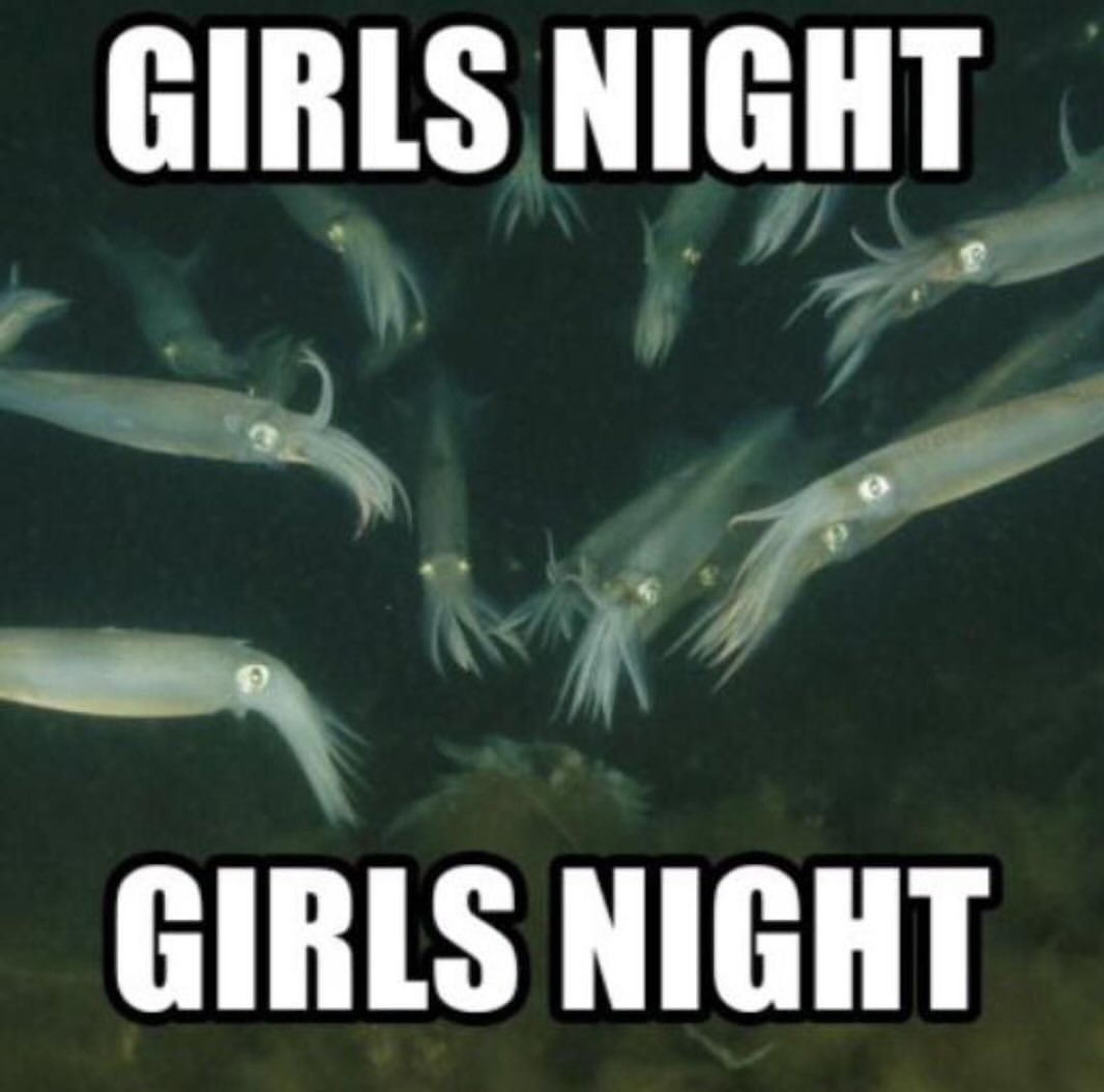 GIRLS NIGHT GIRLS NIGHT
