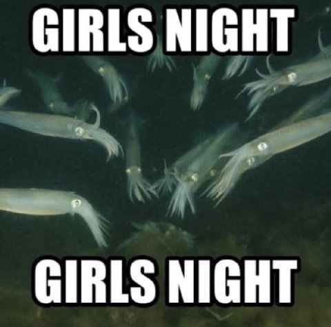 GIRLS NIGHT GIRLS NIGHT