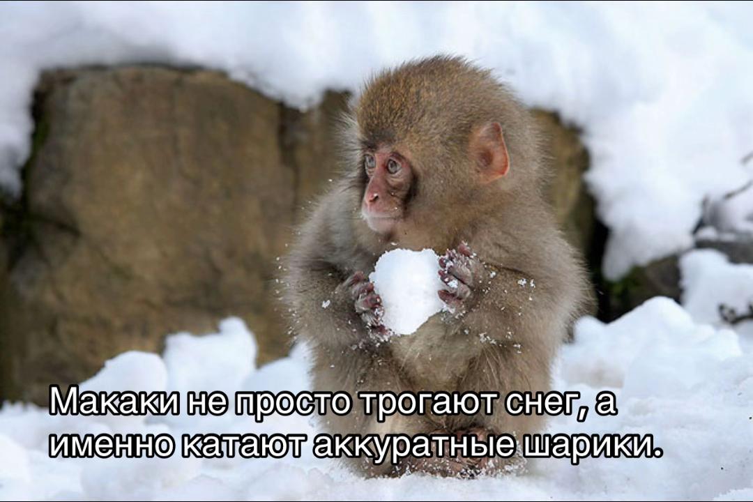 a. трогают