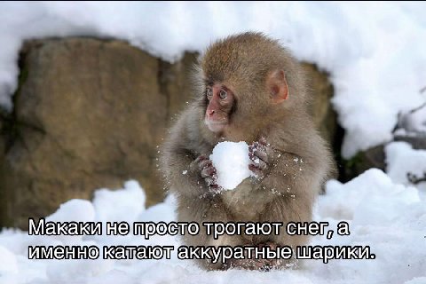 a. трогают