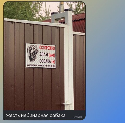 4 ОСТОРОЖНО ЗЛАЯ СОБАКА хозяева тоже не очень жесть небинарная собака