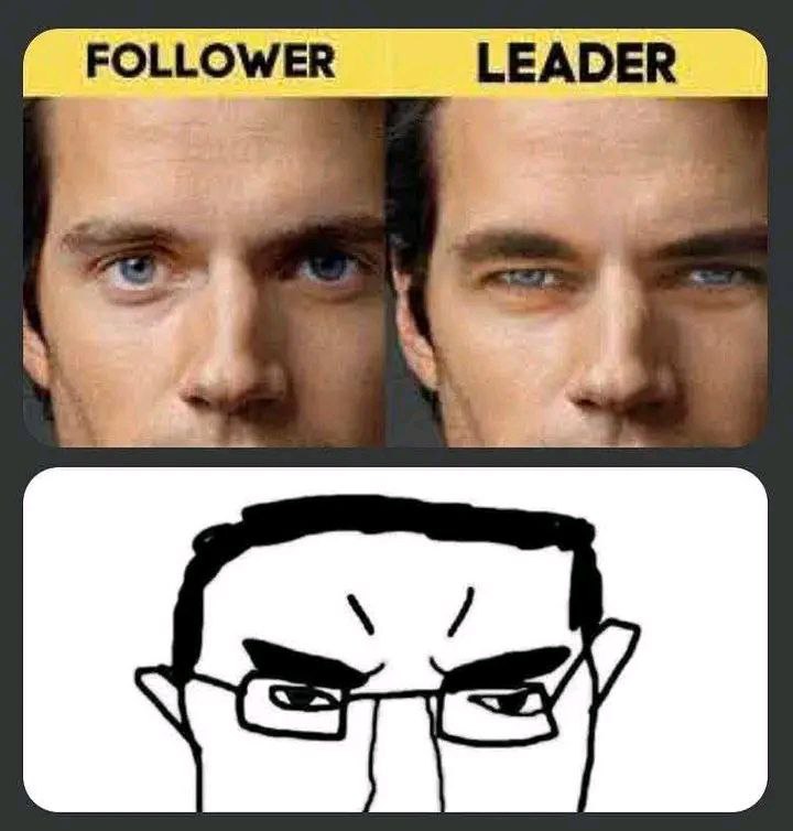 FOLLOWER LEADER