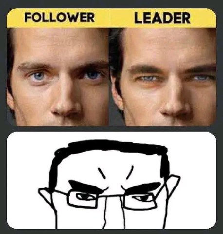 FOLLOWER LEADER