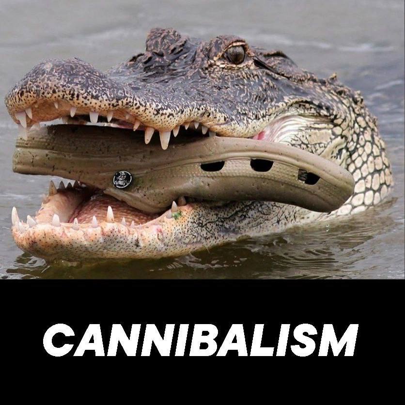 9 16 CANNIBALISM